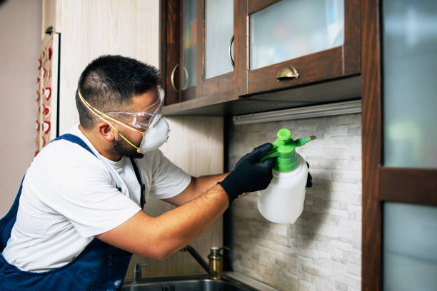 Best Cockroach Control Services  in Rapid City, MI