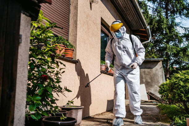 Best Best Pest Control Companies  in Rapid City, MI