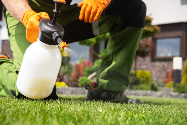 Pest Control for Restaurants in Rapid City, MI