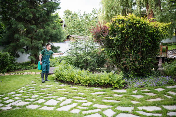 Best Pest Prevention Services  in Rapid City, MI