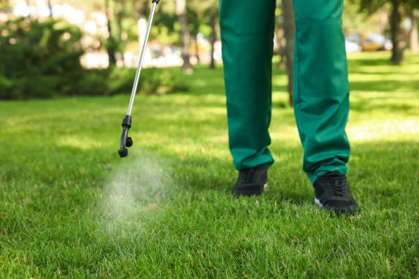 Best Pest Removal Services  in Rapid City, MI