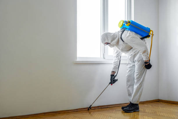 Best Rodent Control Near Me  in Rapid City, MI