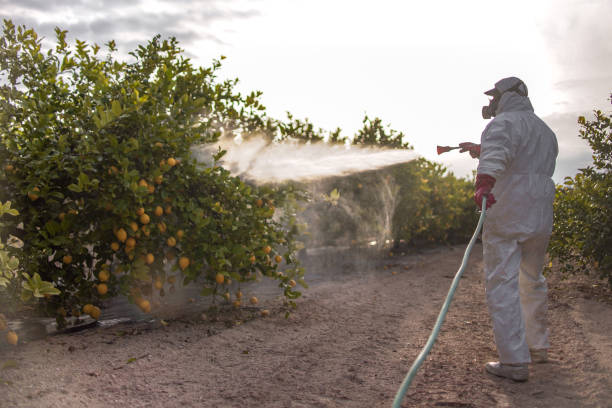 Best Best Pest Control Companies  in Rapid City, MI