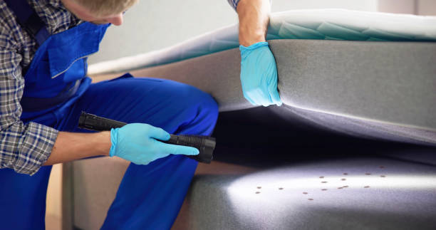 Rapid City, MI Pest Control Pros