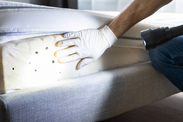 Best Commercial Pest Control Services  in Rapid City, MI