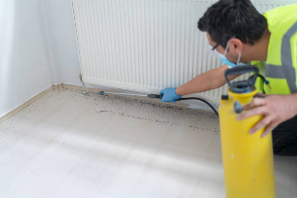 Wasp Removal Services in Rapid City, MI