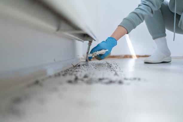 Pest Control Cost in Rapid City, MI